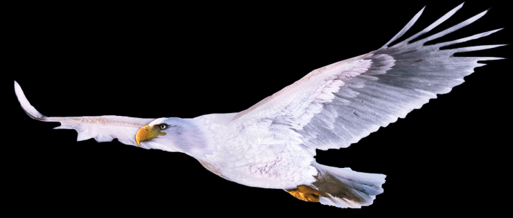 Shayla White Eagle